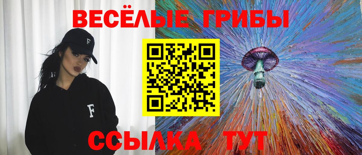 Галлюциногенные грибы Psilocybe  Вход с VPN  Солнечногорск 